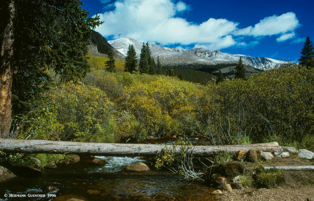 Scott Gomer Creek Trail Bridge, Mount Bierstadt