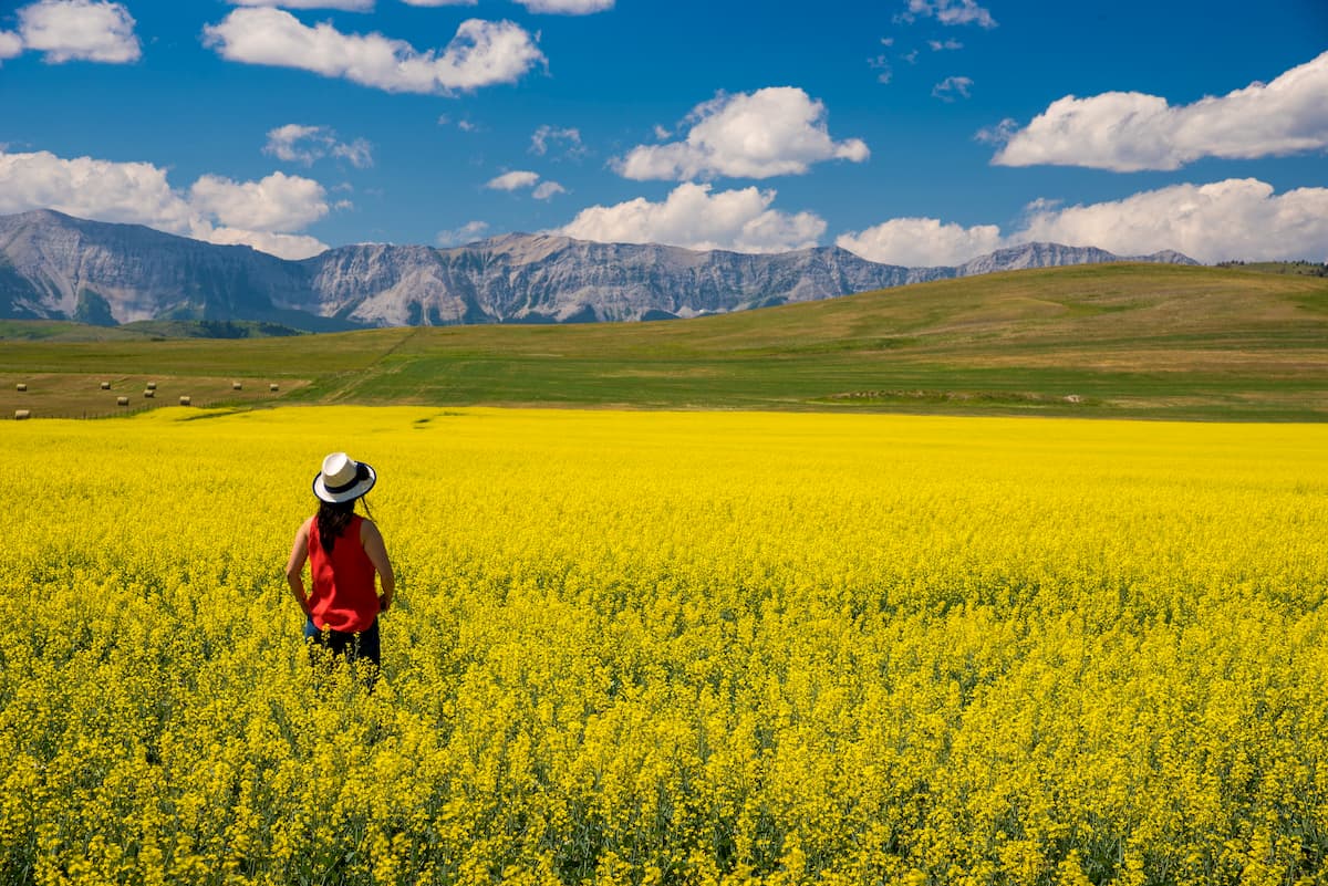 Pincher Creek, Alberta, Canada