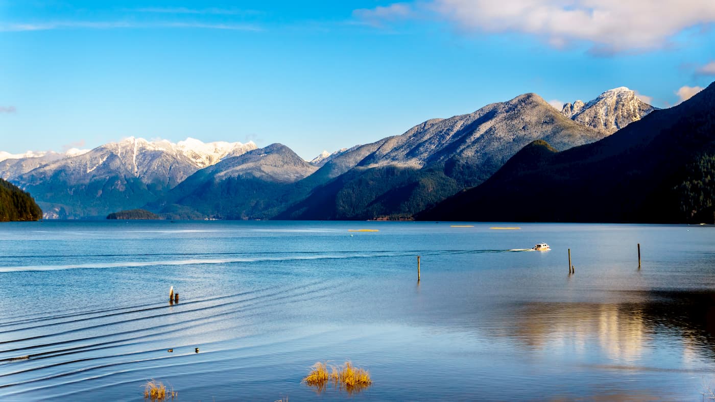 Pinecone Burke Provincial Park