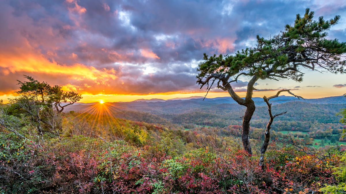 Pisgah National Forest