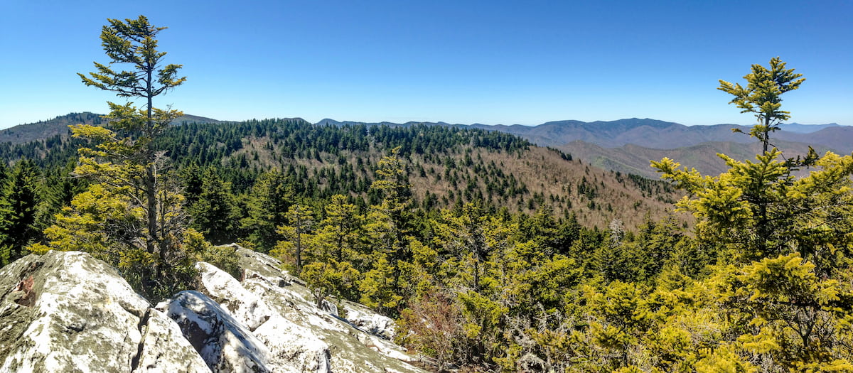 Shining Rock Wilderness. Pisgah National Forest
