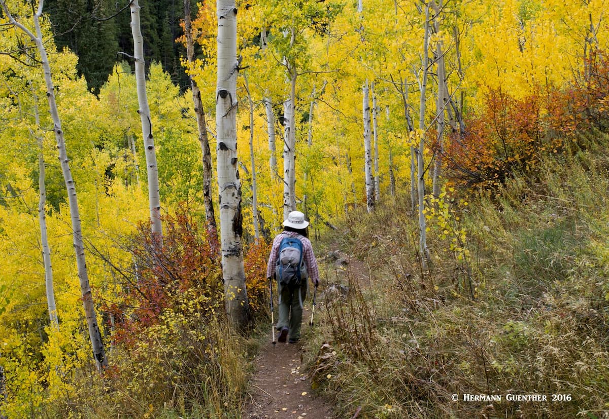 American Lake Trail. Pitkin County