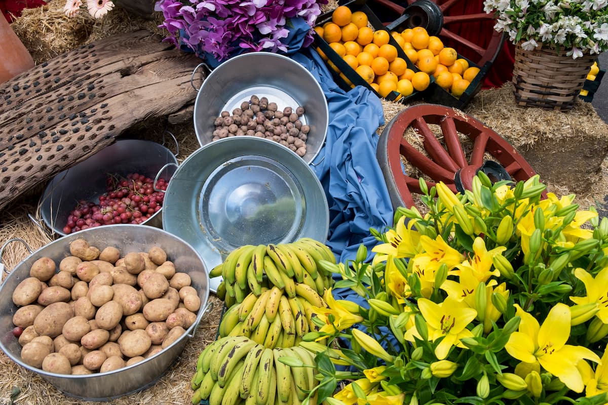 El Palmar Farmer's Market