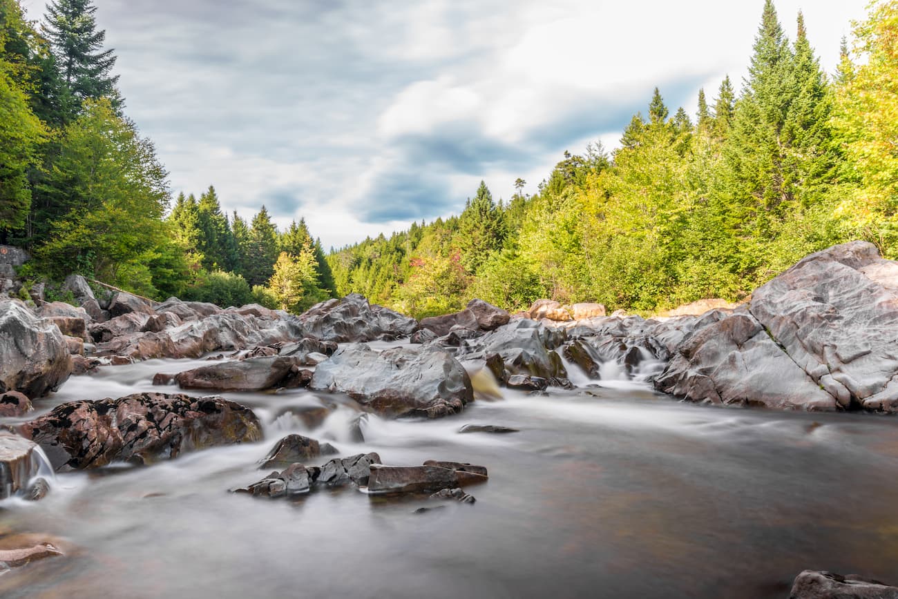 Fundy National Park, New Brunswick. Canadian Appalachians