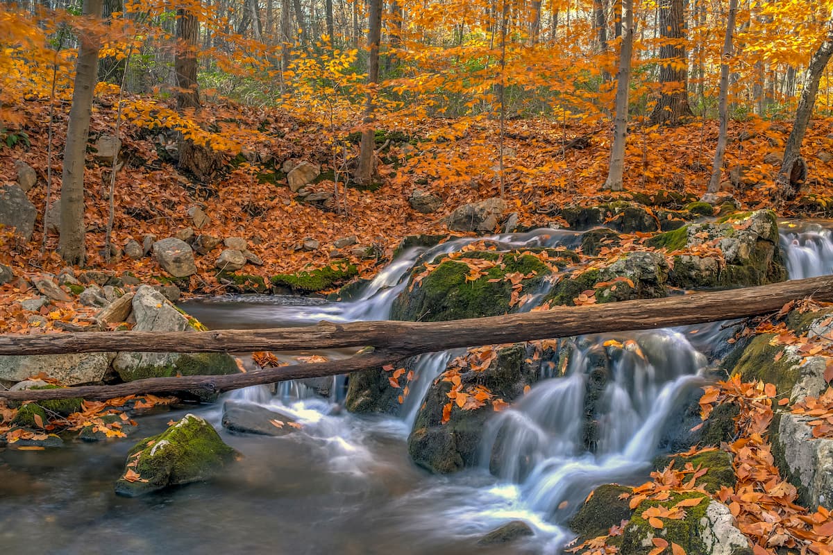 Reading Prong waterfall