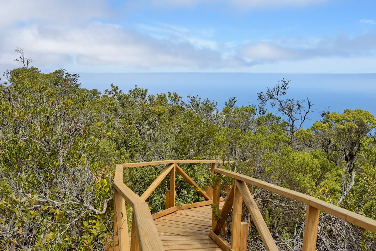 Fray Jorge National Park, The Region de Coquimbo, Chile