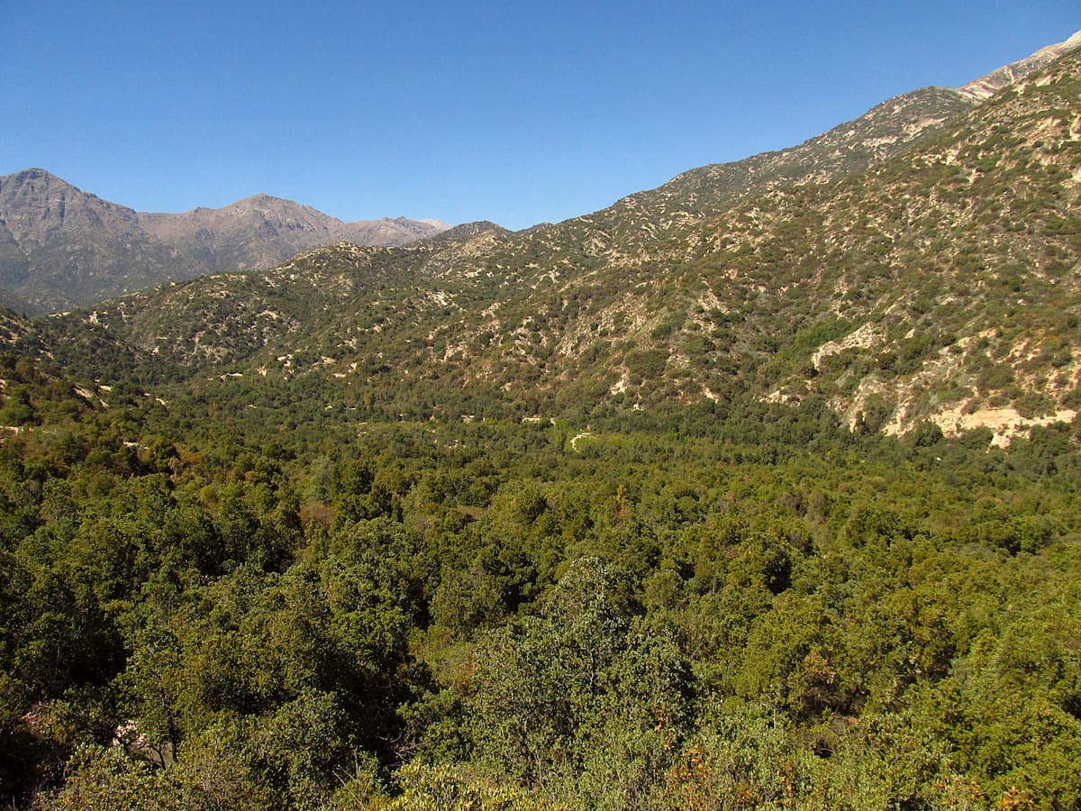 Forest, hills and mountains in summer in Parque Nacional Rio Clarillo, Chile