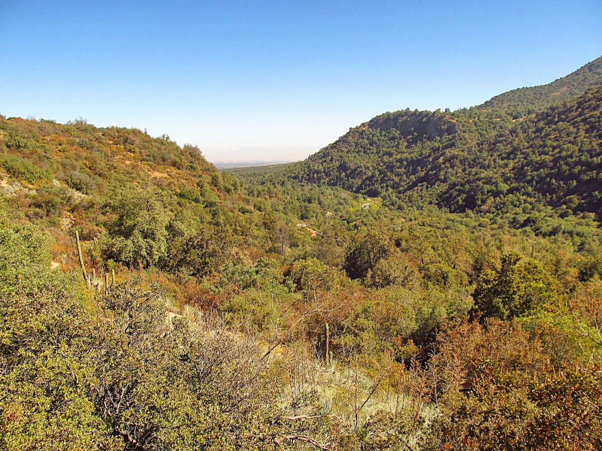 Forest, hills and mountains in summer in Parque Nacional Rio Clarillo, Chile