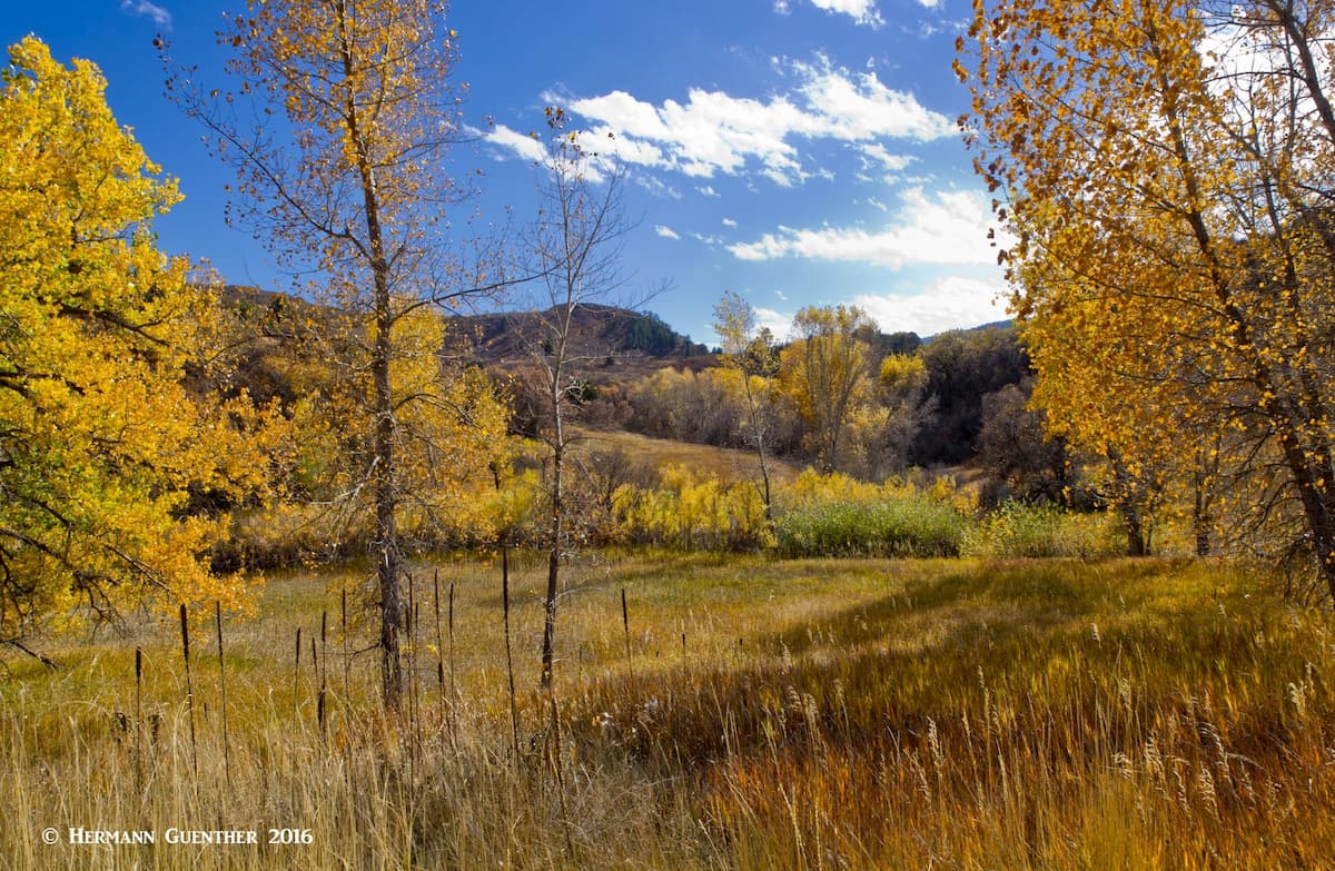 Roxborough State Park