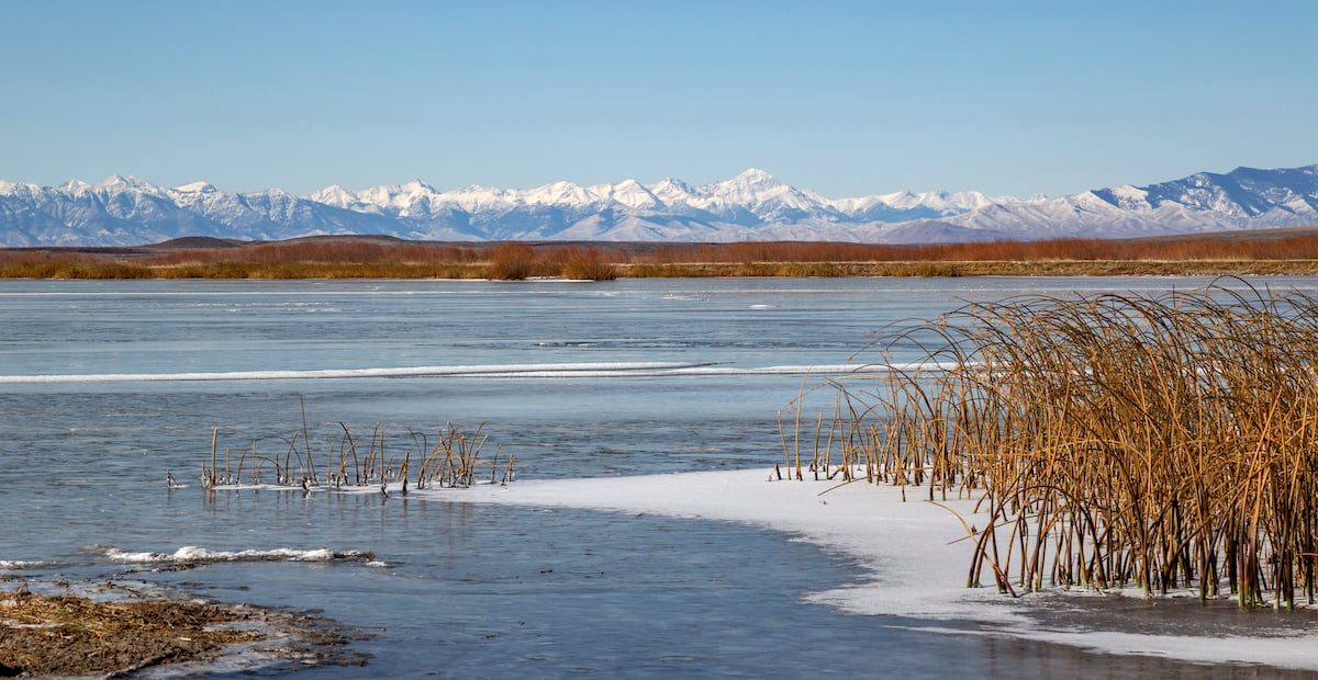 Beaverhead Mountains, Salmon-Challis National Forest
