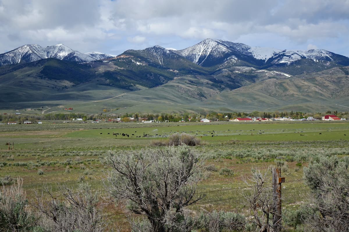 White Knob Mountains, Salmon-Challis National Forest