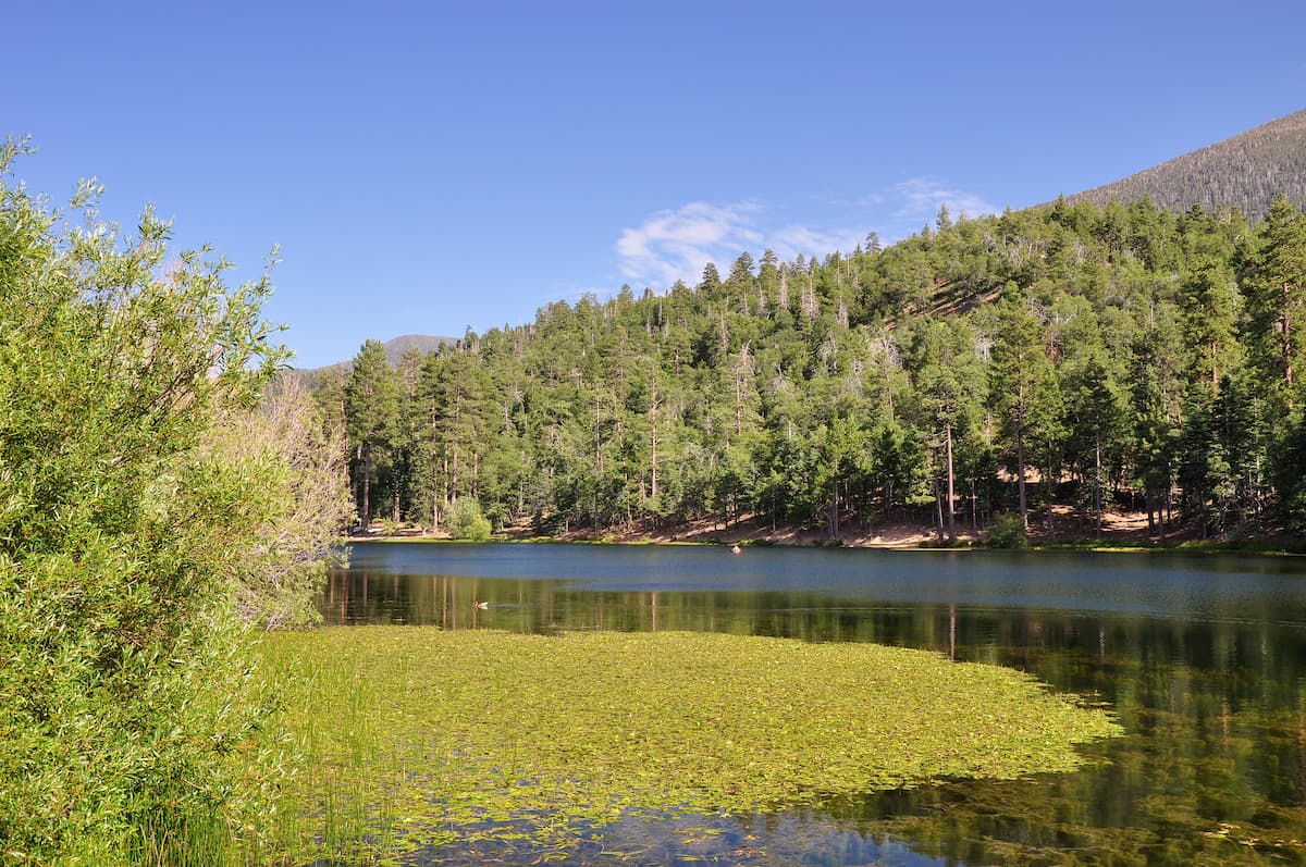 Aspen Grove Trail. San Gorgonio