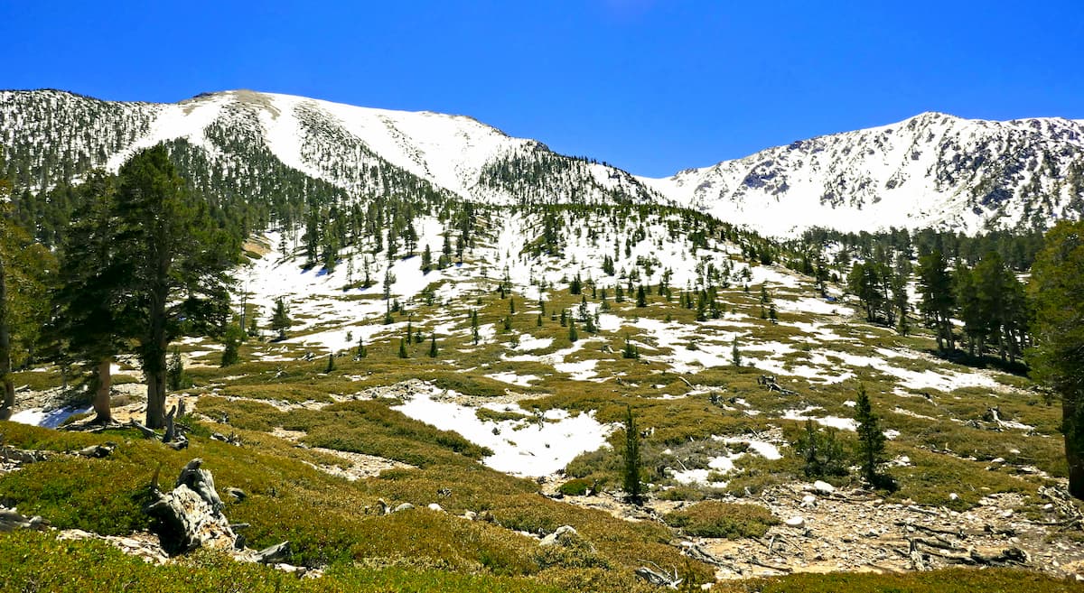 San Bernardino Peak Trail. San Gorgonio