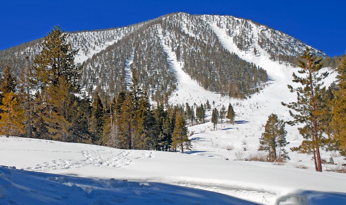 San Gorgonio Wilderness