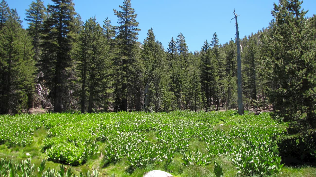 Round Valley, San Jacinto Mountains