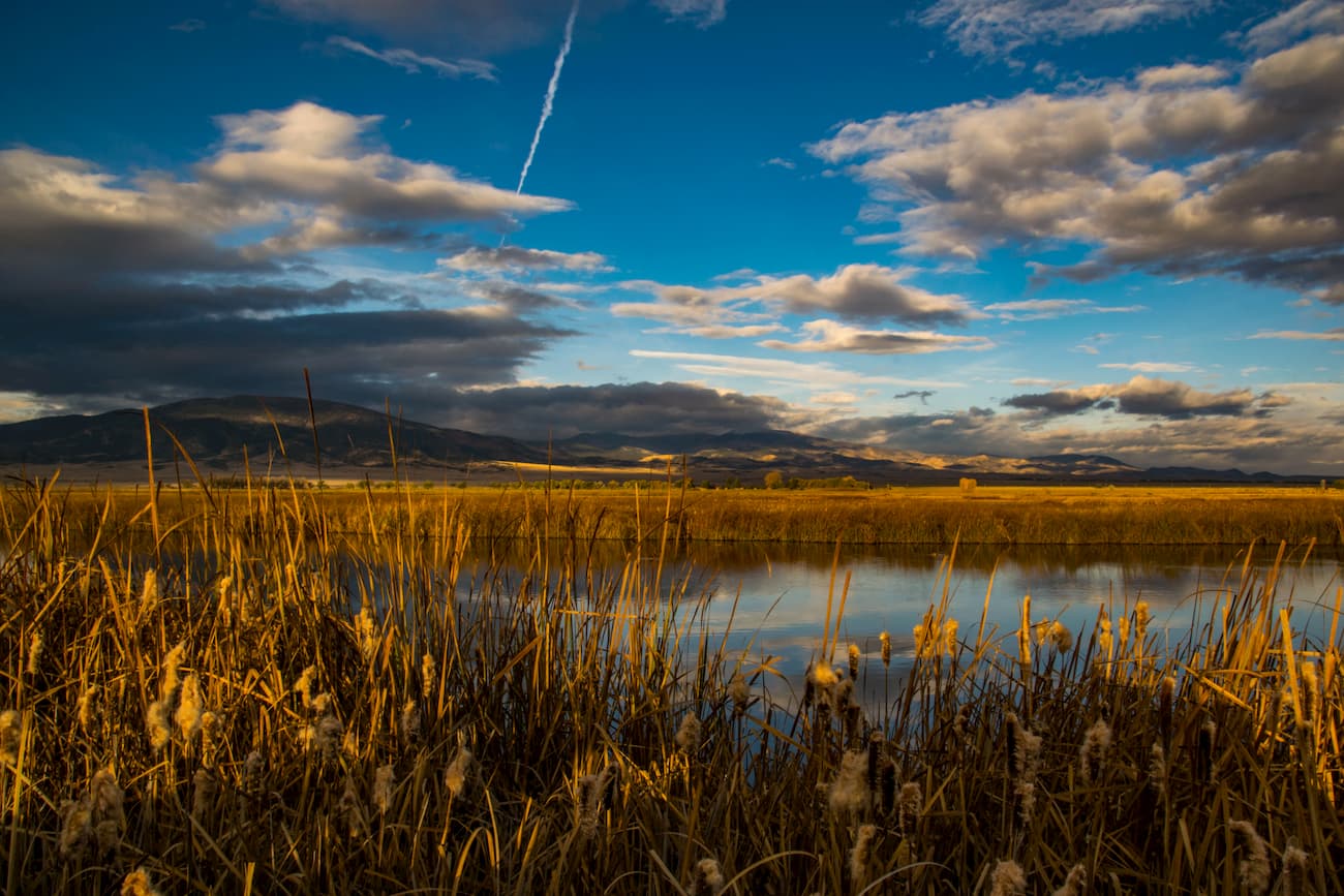 Alamosa National Wildlife Refuge