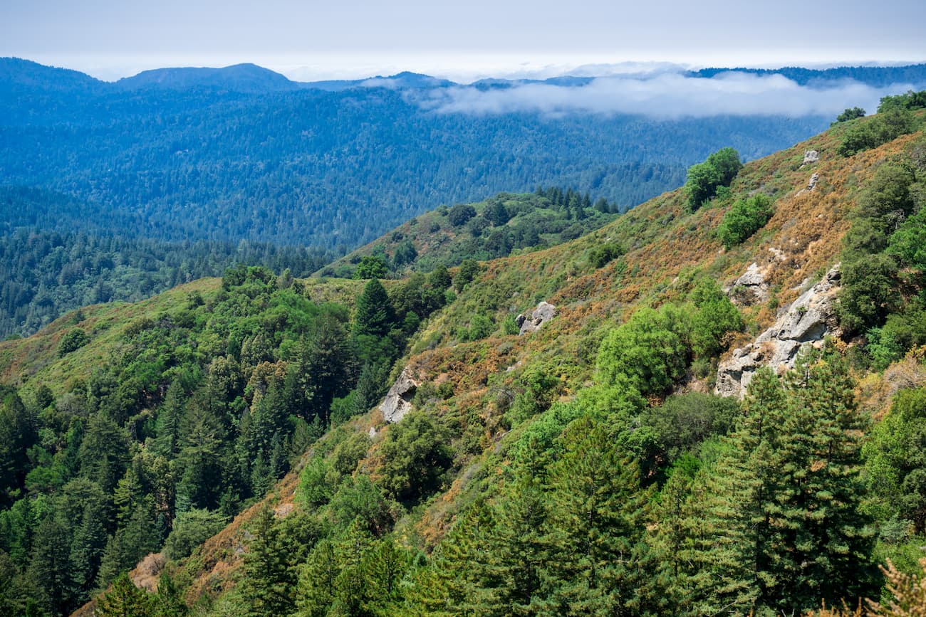 Santa on sale cruz mountains