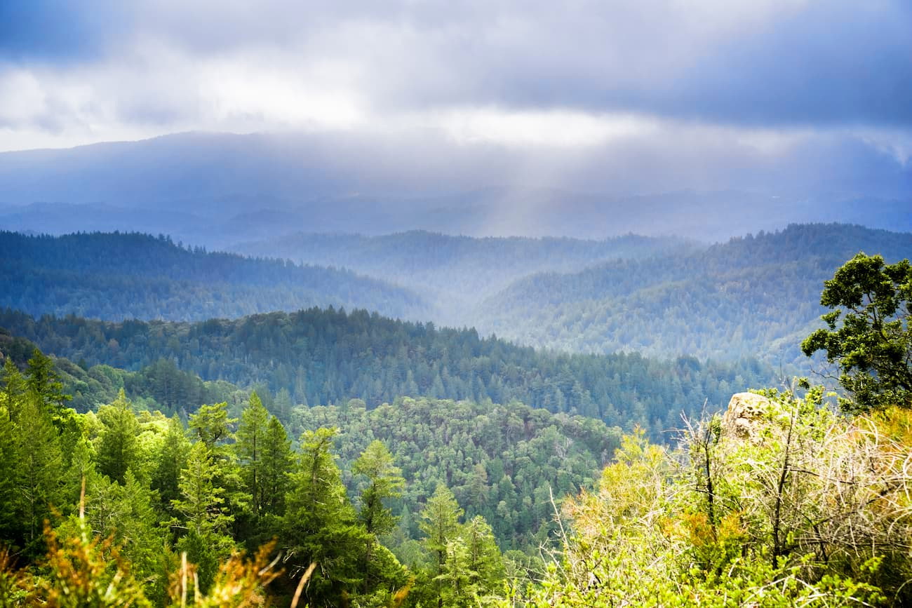 Santa Cruz Mountains