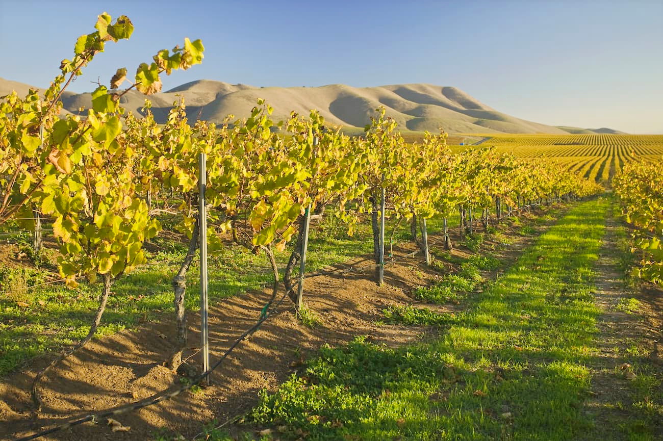 Santa Maria, California