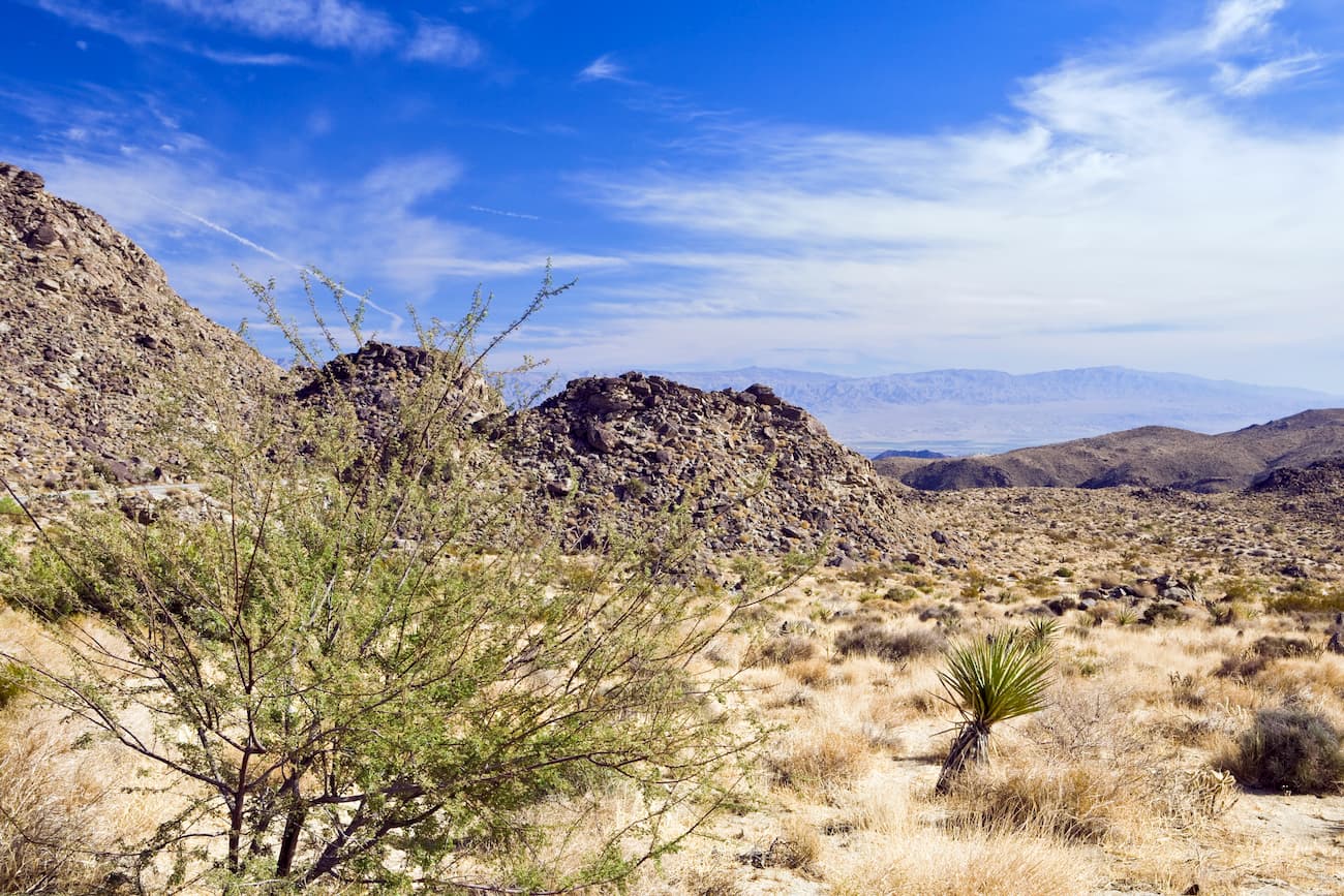 Santa Rosa Mountains (california)