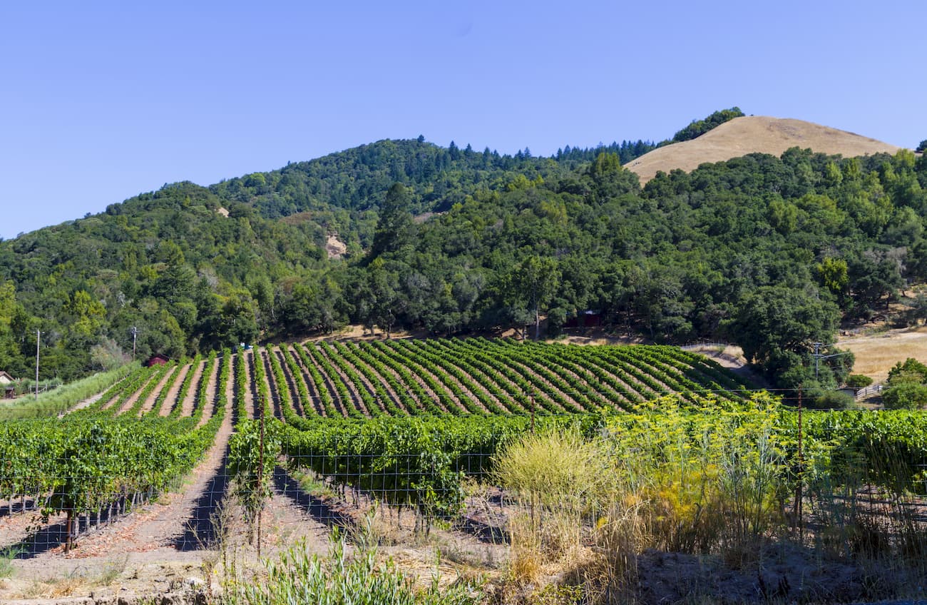 Santa Rosa Mountains (California)