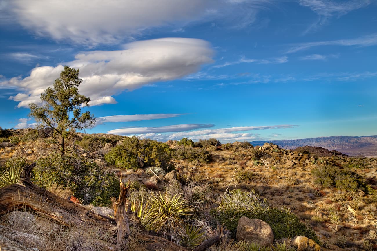 Santa Rosa and San Jacinto Mountains National Monument