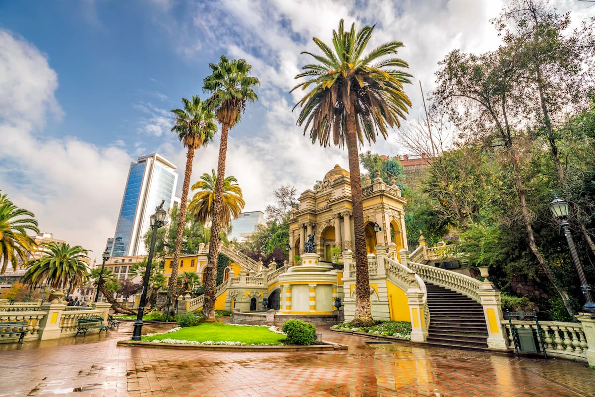 Palm trees, Santiago Metropolitan