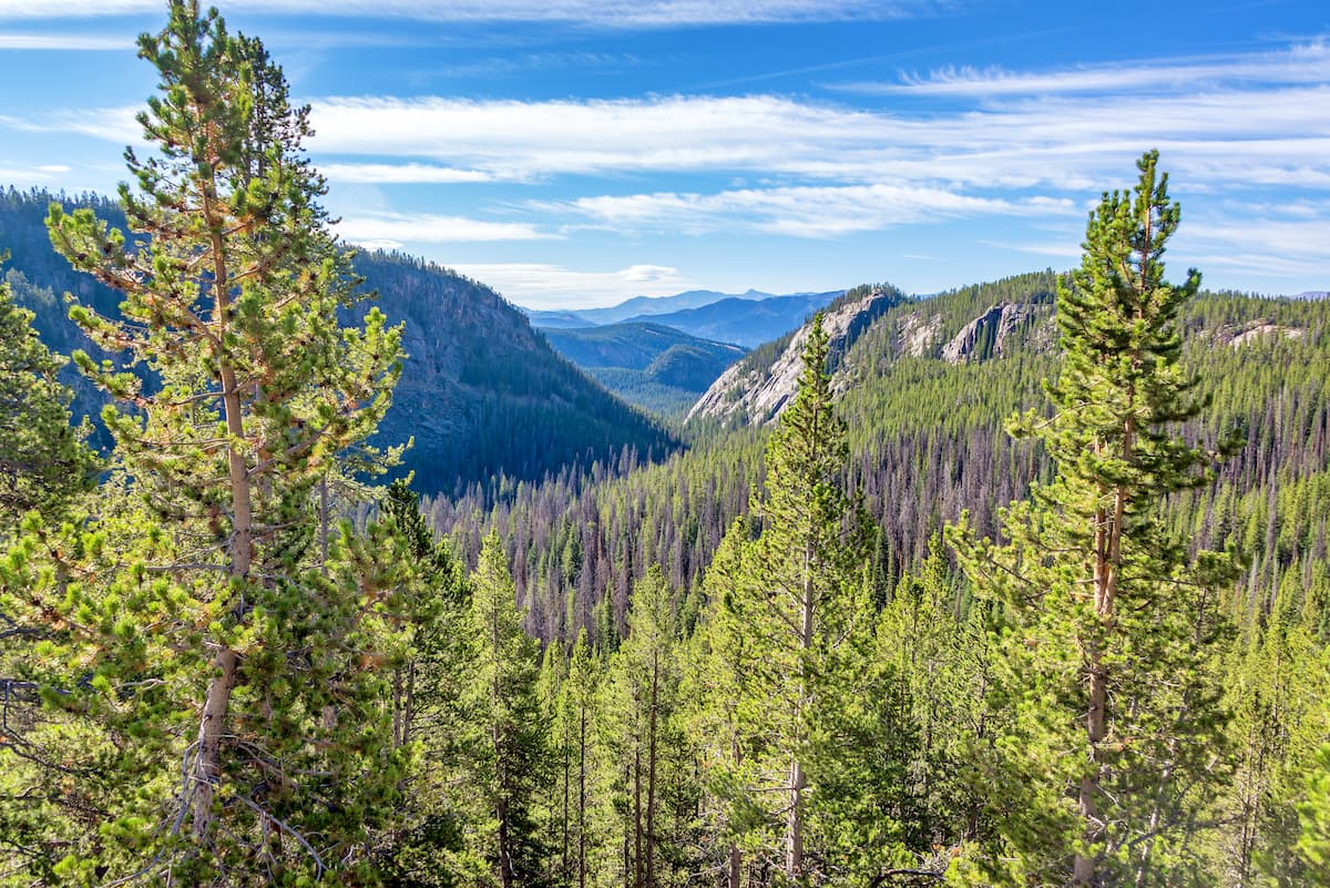 Shoshone National Forest