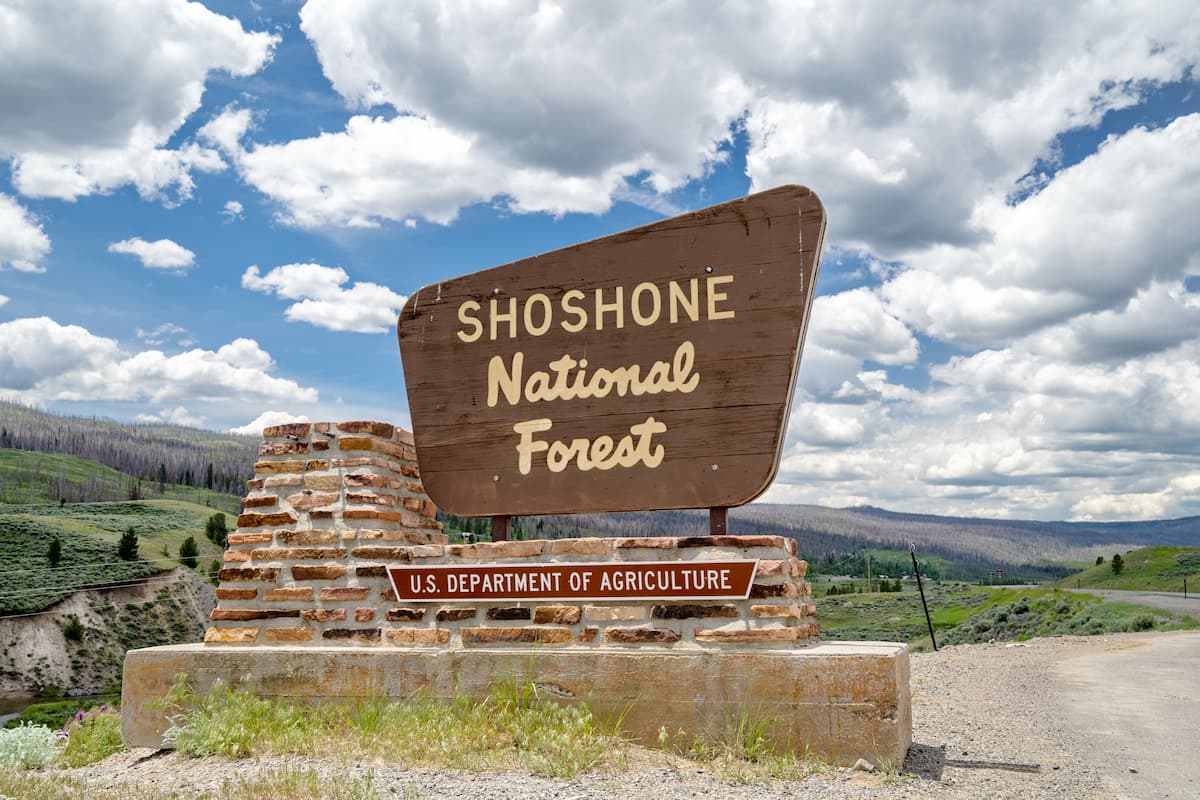 Sign for the Shoshone National Forest