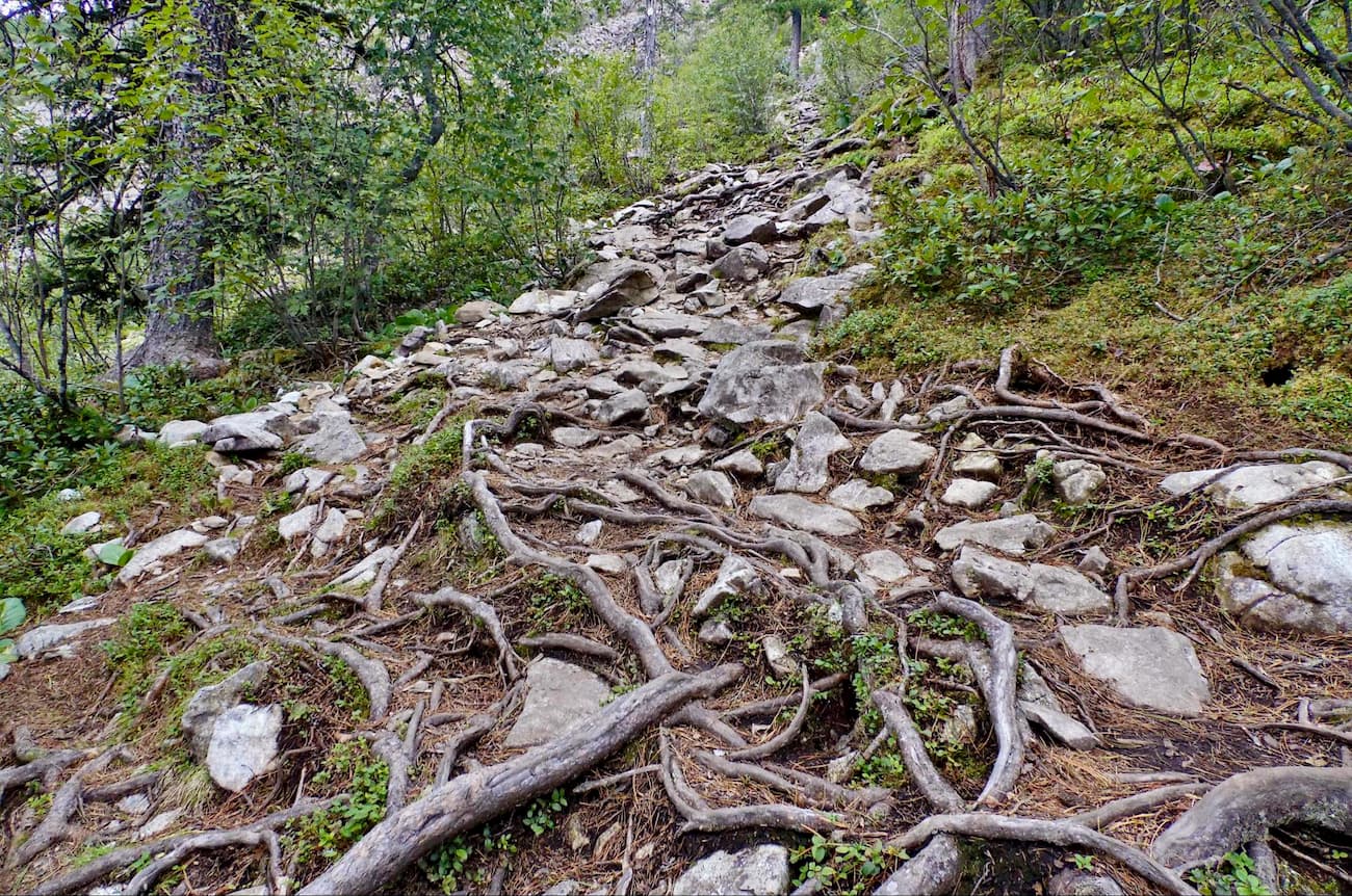 The rock rivers are making up most of your path up Little Borus. Shushensky Bor passage