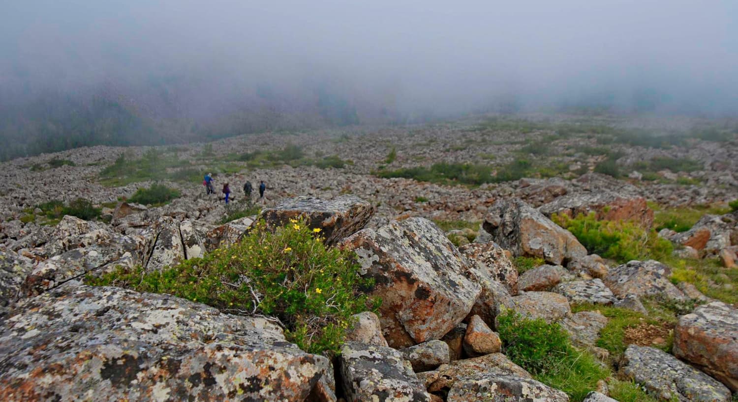 Shushensky Bor passage