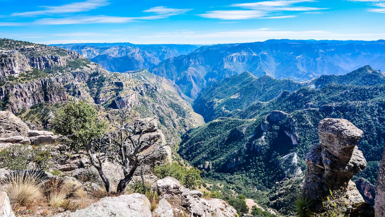 Sierra Madre Occidental