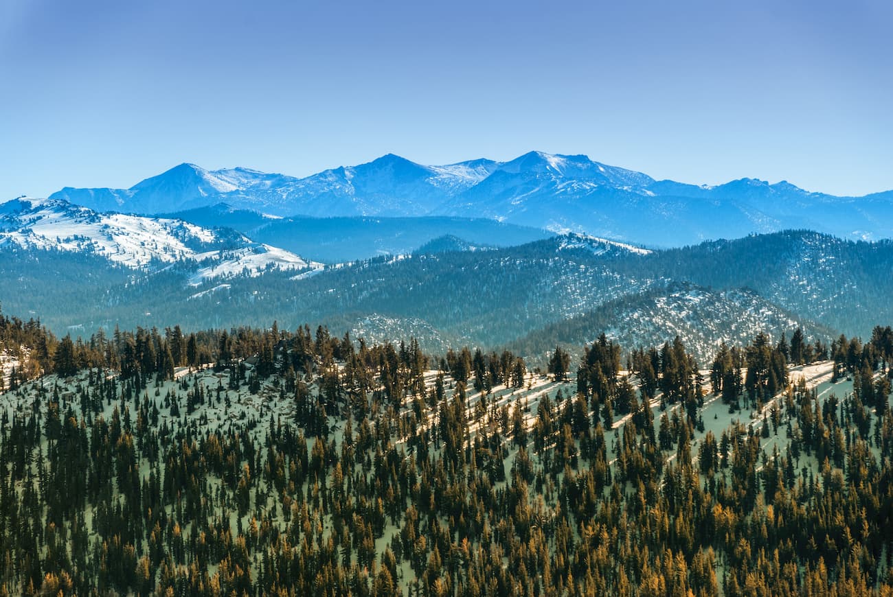 Sierra National Forest