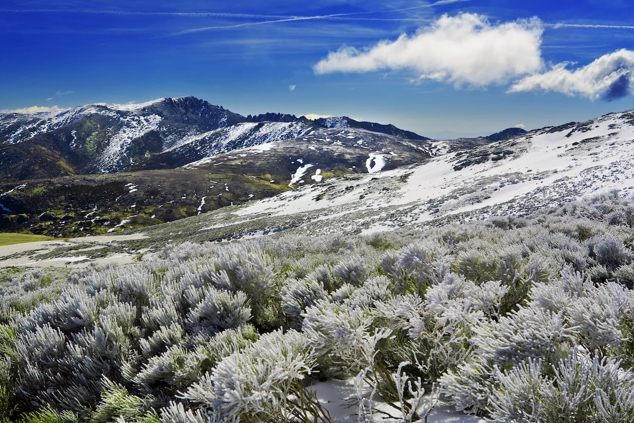 La Mira. Sierra de Gredos Regional Park