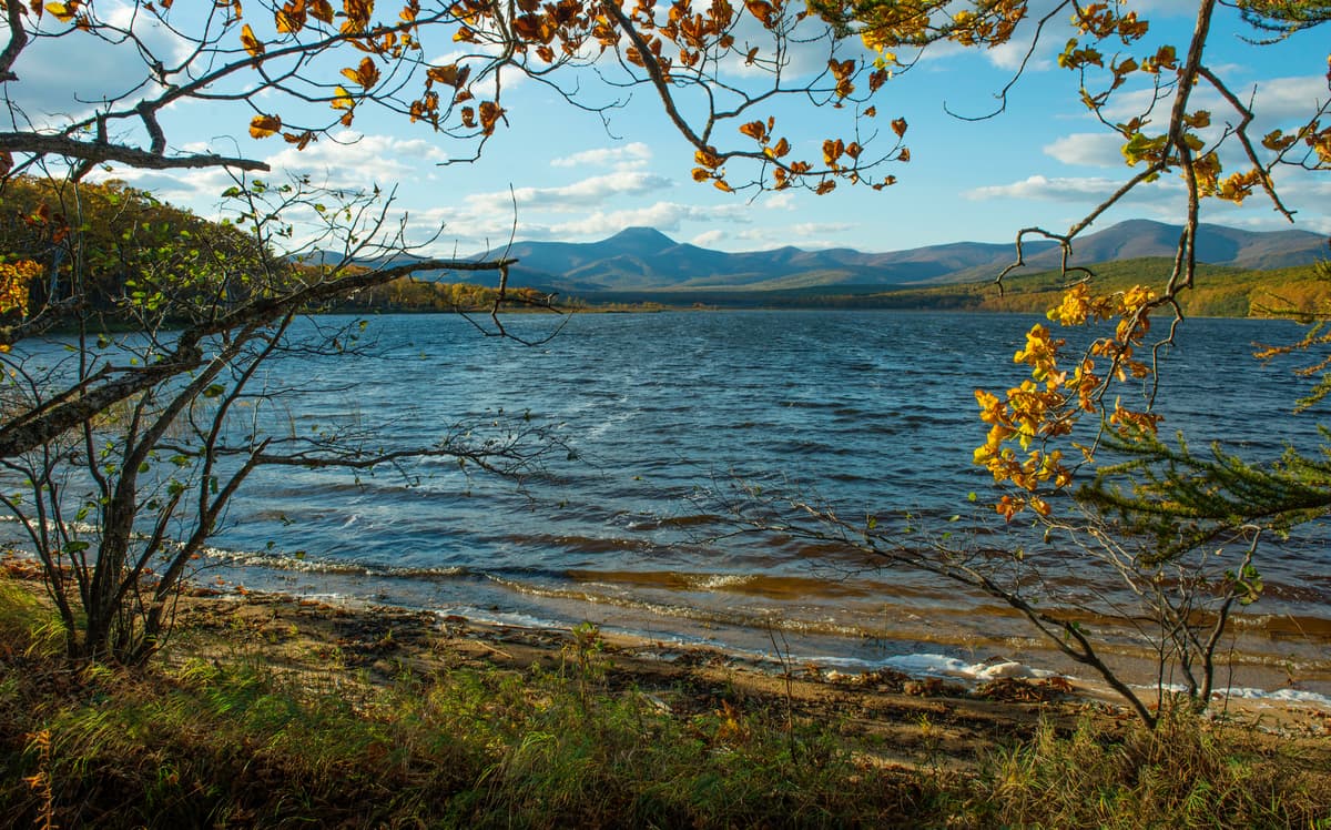 Lake in Sikhote-Alin Nature Reserve