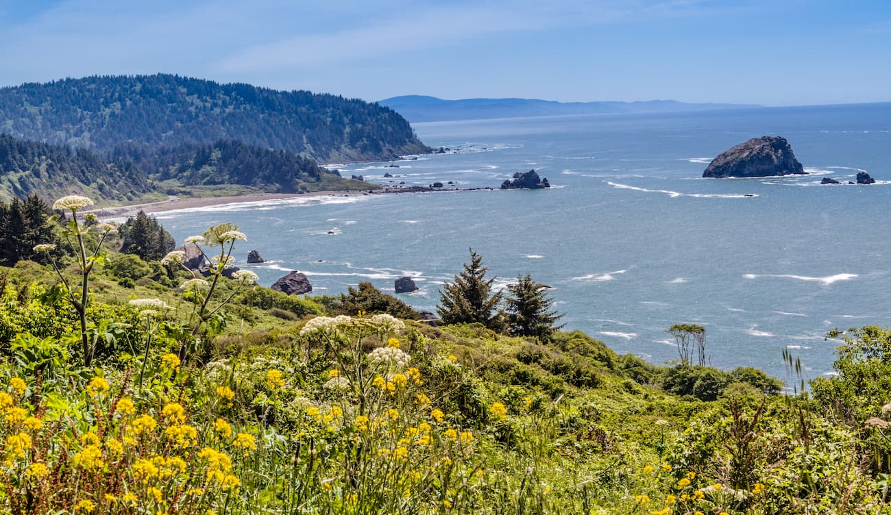 Del Norte Coast Redwoods State Park. Siskiyou Mountains