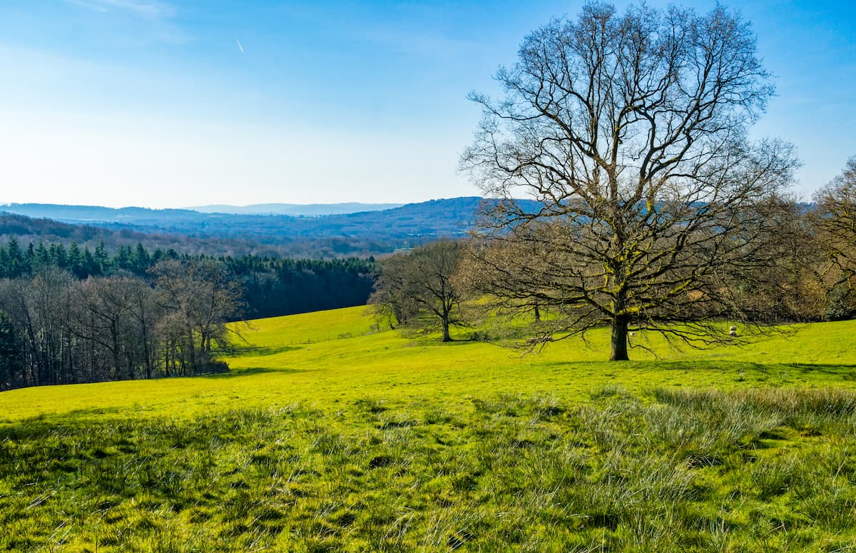 The Serpent Trail. South Downs National Park