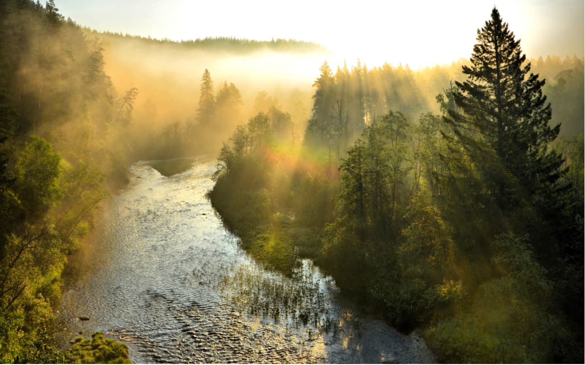 Ural mountains, Russia. Early morning on the Big Inzer river.
