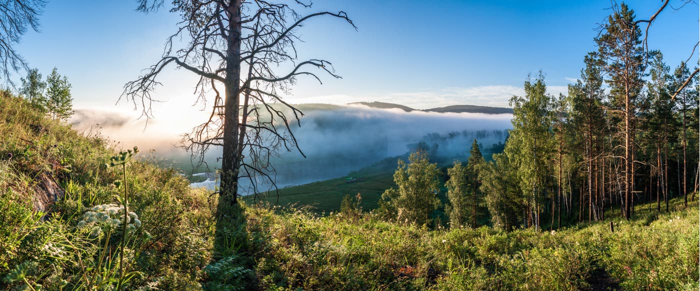 Foggy sunrise above Yuryuzan river valley. South Urals Nature Reserve.