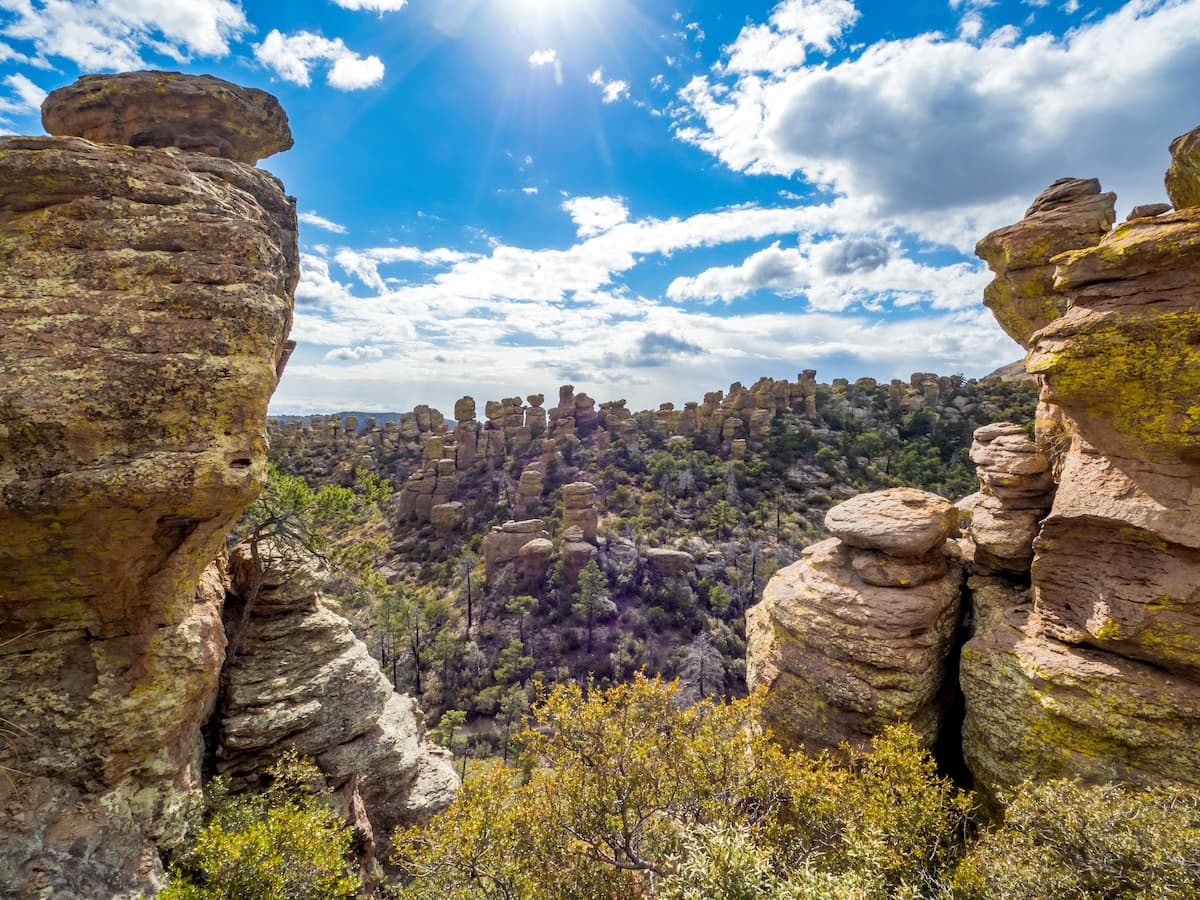 Chiricahua Wilderness. Southwest Basins and Ranges