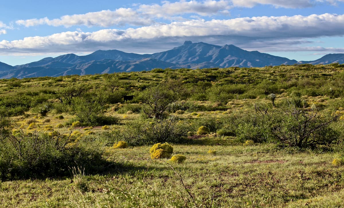 Spring Desert with Dos Cabezas. Southwest Basins and Ranges