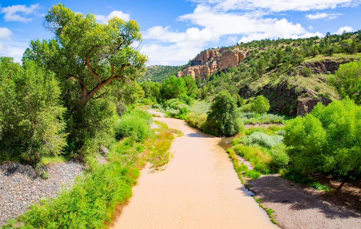 Gila National Forest