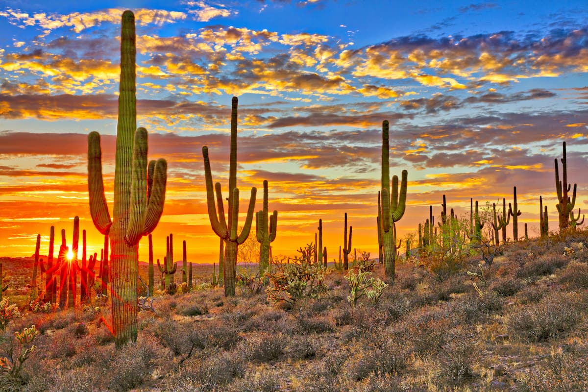 Sonoran Desert. Southwest Basins and Ranges