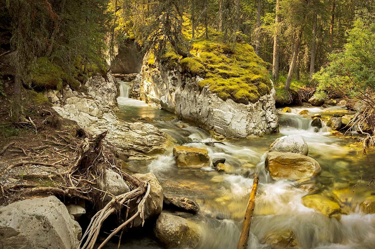 Two tributaries meet along Galatea Creek in Spray Valley Provincial Park
