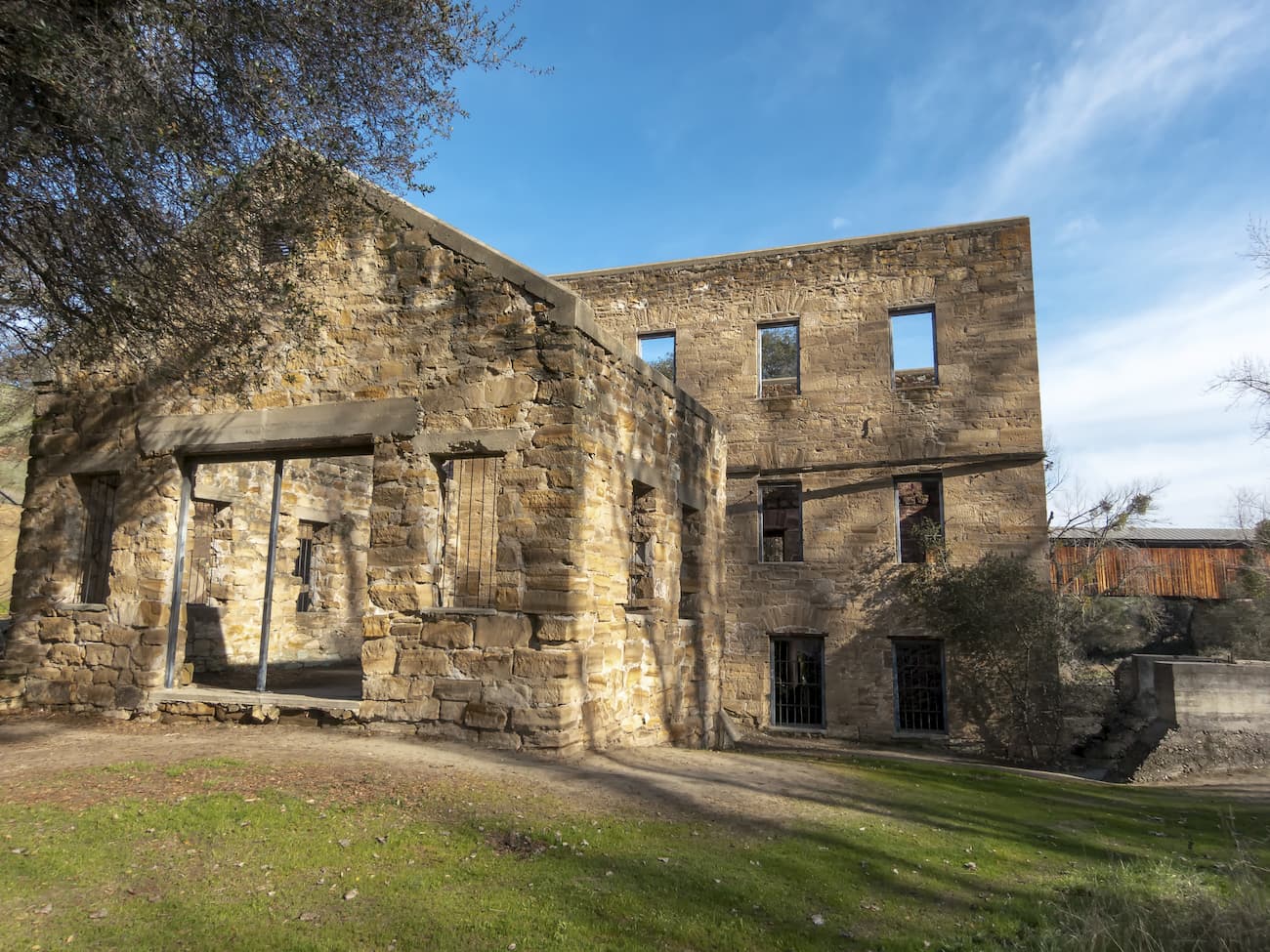 Gold. Stanislaus National Forest