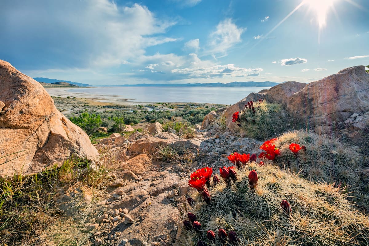 Stansbury Mountains