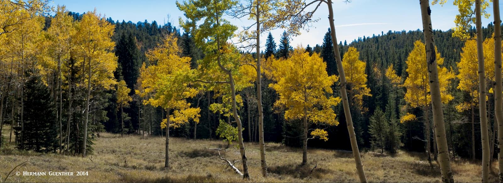 Along Mason Creek Trail. Staunton State Park