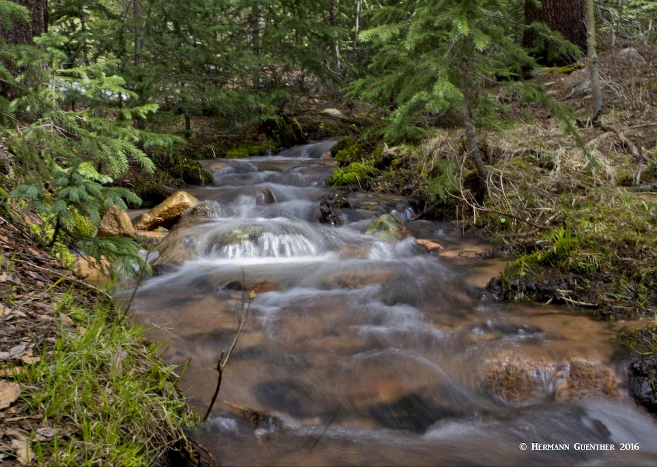 Mason Creek. Staunton State Park