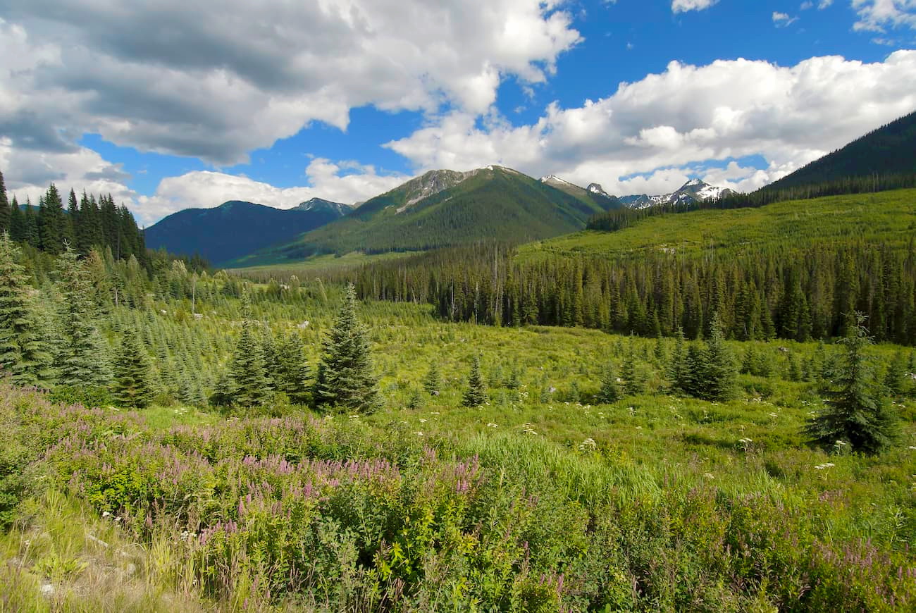 Stein Valley and Mt. Matier, Coast Mountains, British Columbia, Canada