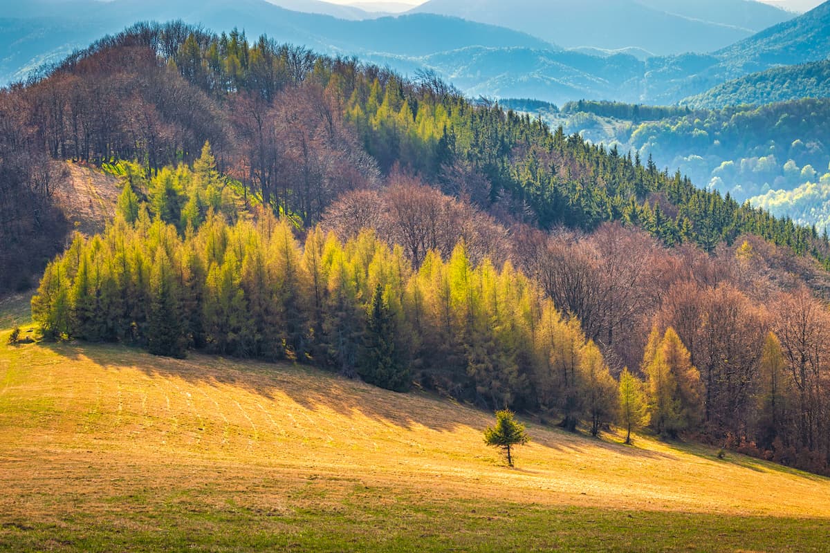 Strážov Mountains Protected Landscape Area